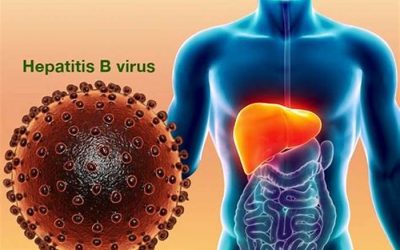What is Hepatitis B ?