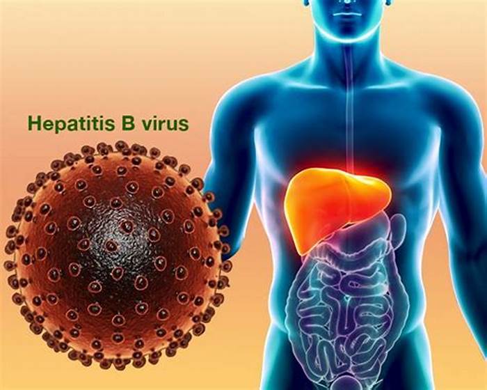 What is Hepatitis B ?