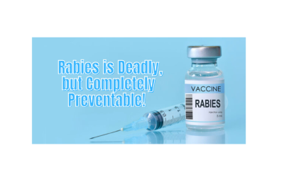MARCH IS RABIES AWARENESS MONTH 2026