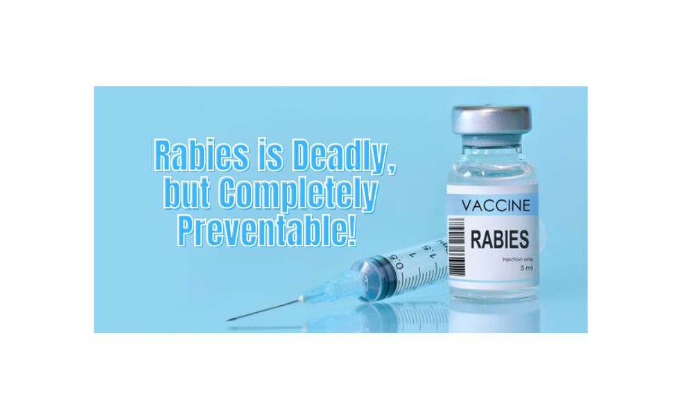 MARCH IS RABIES AWARENESS MONTH 2026